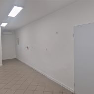 Lokal na wynajem